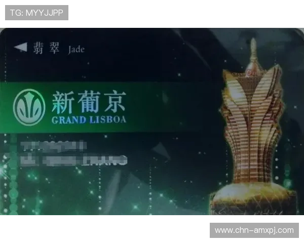 澳门新葡京app支持多种支付方式,便捷快速的存取款体验保障玩家权益 澳门新葡京app支持多种支付方式,便捷快速的存取款体验保障玩家权益