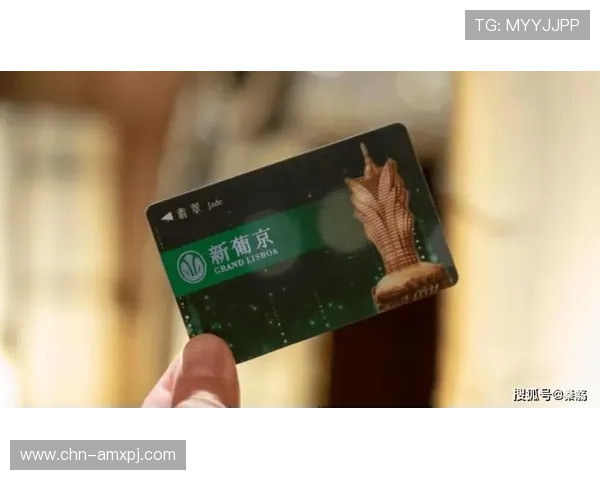 澳门新葡京官方入口官方认证，保障您的账户安全与资金安全