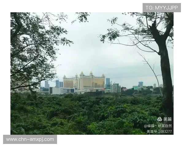 澳门英皇网址官方地址最新更新,确保玩家安全登录体验全攻略 澳门英皇网址官方地址最新更新,确保玩家安全登录体验全攻略